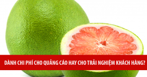 Dành Chi Phí Cho Quảng Cáo Hay Cho Trải Nghiệm Khách Hàng? Tỷ Lệ Như Thế Nào Thì Hợp Lý? 5