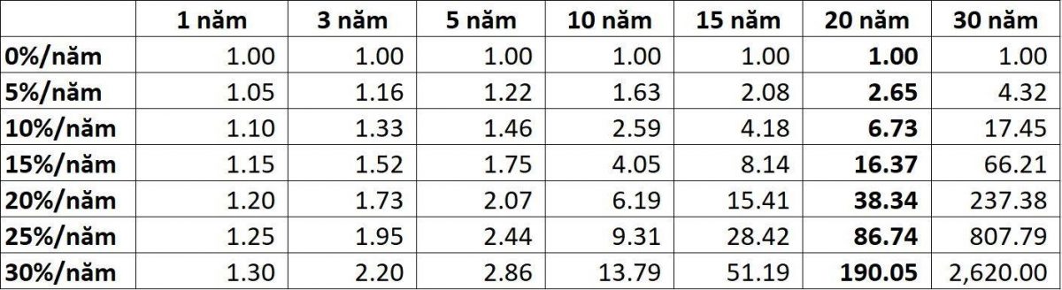 Tỷ Suất Sinh Lợi Trong Đầu Tư & Cách Tính 1