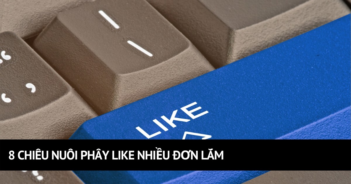 8 Chiêu Nuôi Phây Like Nhiều Đơn Lắm - Startup Việt Nam