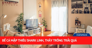 Bể Cá Mập Thiếu Shark Linh, Thấy Trống Trải Quá 5