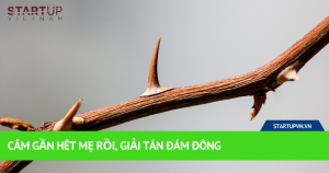 Cấm Gần Hết Mẹ Rồi, Giải Tán Đám Đông 5