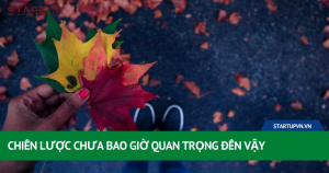 Chiến Lược Chưa Bao Giờ Quan Trọng Đến Vậy 14