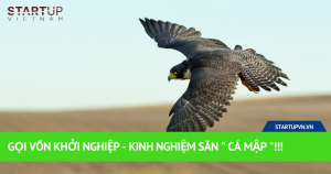 Gọi Vốn Khởi Nghiệp - Kinh Nghiệm Săn " Cá Mập "!!! 3