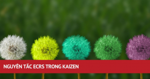 Nguyên Tắc Ecrs Trong Kaizen 3