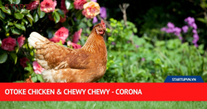 Otoke Chicken & Chewy Chewy - Corona 5