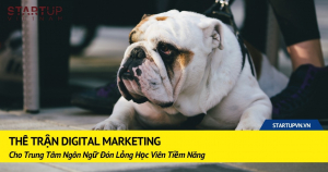 Thế Trận Digital Marketing Cho Trung Tâm Ngôn Ngữ Đón Lỏng Học Viên Tiềm Năng 16