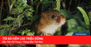 Tôi Đã Kiếm 100 Triệu Đồng Đầu Tiên Chỉ Trong 1 Tháng Như Thế Nào! 10