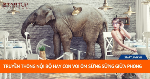 Truyền Thông Nội Bộ Hay Con Voi Ốm Sừng Sững Giữa Phòng 12