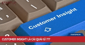 customer-insight-la-cai-quai-gi