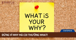 dung-vi-why-ma-coi-thuong-what