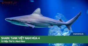 shark-tank-viet-nam-mua-4-ca-map-thu-6-meet-more