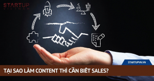 tai-sao-lam-content-thi-can-biet-sales