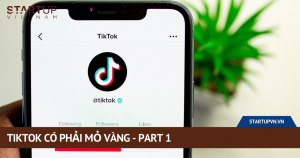 tiktok-co-phai-mo-vang-part-2