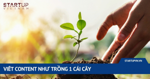 viet-content-nhu-trong-1-cai-cay