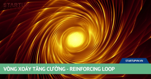 vong-xoay-tang-cuong-reinforcing-loop