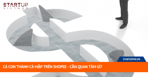 Cá Con Thành Cá Mập Trên Shopee - Cần Quan Tâm Gì? 4