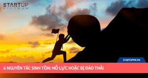 6 Nguyên Tắc Sinh Tồn: Nỗ Lực Hoặc Bị Đào Thải 20