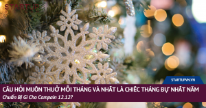 Câu Hỏi Muôn Thuở Mỗi Tháng Và Nhất Là Chiếc Tháng Bự Nhất Năm: Chuẩn Bị Gì Cho Campain 12.12? 12