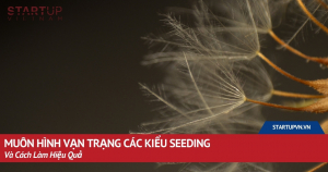 muon-hinh-van-trang-cac-kieu-seeding-va-cach-lam-hieu-qua