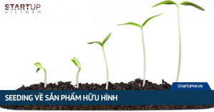 seeding-ve-san-pham-huu-hinh