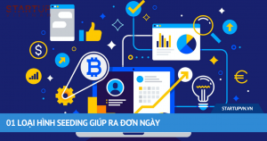 01 Loại Hình Seeding Giúp Ra Đơn Ngày 1