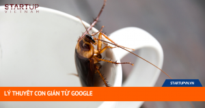 Lý Thuyết Con Gián Từ Google 18