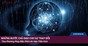 Những Bước Chủ Đạo Cho Sự Thay Đổi Theo Phương Pháp Điều Phối Liên Hợp Thần Kinh 5