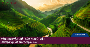 Văn Minh Vật Chất Của Người Việt - Giá Trị Di Vật Việt Tồn Tại Ngàn Xưa 3