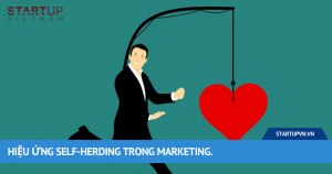 Hiệu Ứng Self-Herding Trong Marketing 12