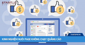 Kinh Nghiệm Nuôi Page Không Chạy Quảng Cáo 2