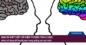 Bạn Đã Biết Một Số Hiện Tượng Tâm Lí Học Được Sử Dụng Để Thuyết Phục Trong Quảng Cáo Này Chưa? 2